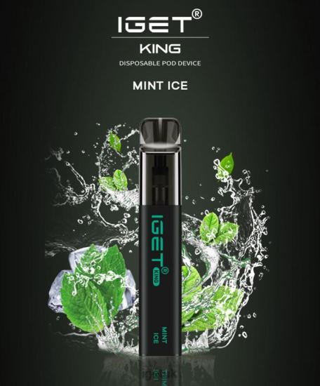 IGET Wholesale KING - 2600 PUFFS Mint Ice R4J2L449
