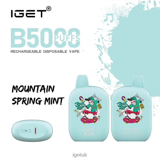 Online IGET Vapes B5000 Mountain Spring Mint R4J2L318
