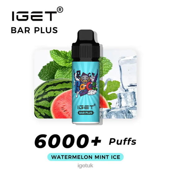 Online IGET Vapes Bar Plus 6000 Puffs Watermelon Mint Ice R4J2L248