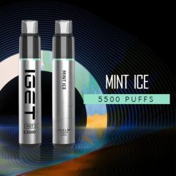 IGET Bar UK HOT - 5500 PUFFS Mint Ice R4J2L436