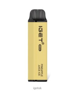 IGET Sale MEGA Pineapple Juice Ice R4J2L140