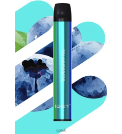 IGET Vape Discount SHION - 600 PUFFS Blueberry Ice R4J2L543