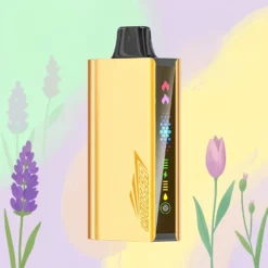 JNR Cruiser No-Charge 12000 Puffs