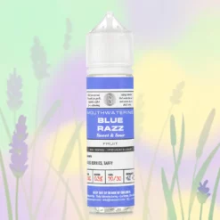 BSX Series Blue Raspberry 70VG/30PG 60mL